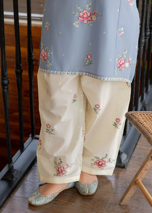 Sky Blue Embroidered Two Piece