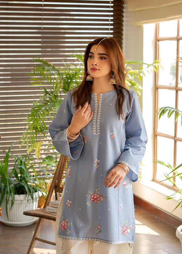 Sky Blue Embroidered Two Piece
