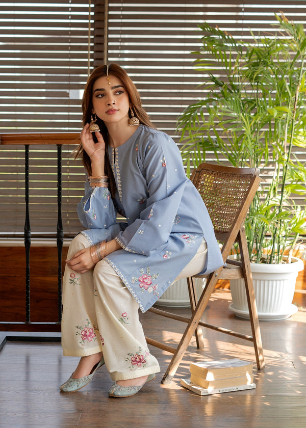 Sky Blue Embroidered Two Piece