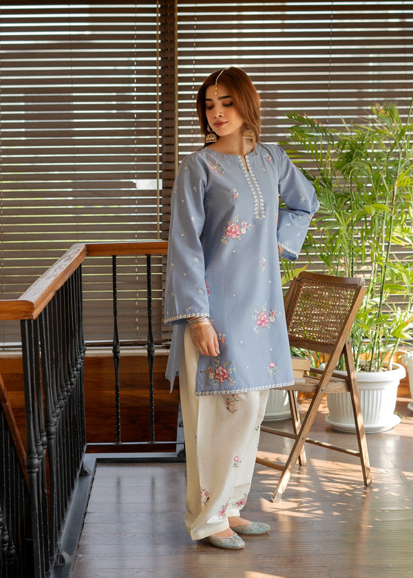 Sky Blue Embroidered Two Piece