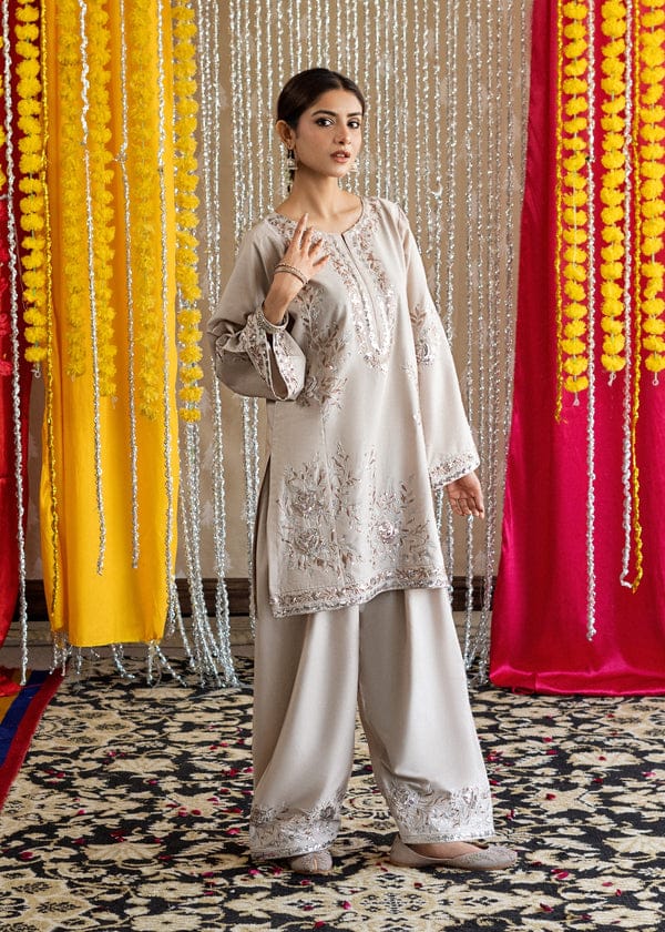 Silver Radiance – Embroidered Festive 2-Piece Suit Farshi Shalwar
