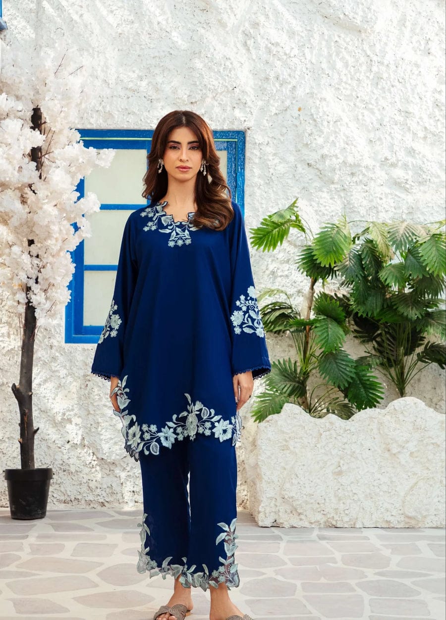 Nyla – Embroidered Elegance Two Piece Suit