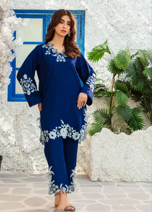Nyla – Embroidered Elegance Two Piece Suit