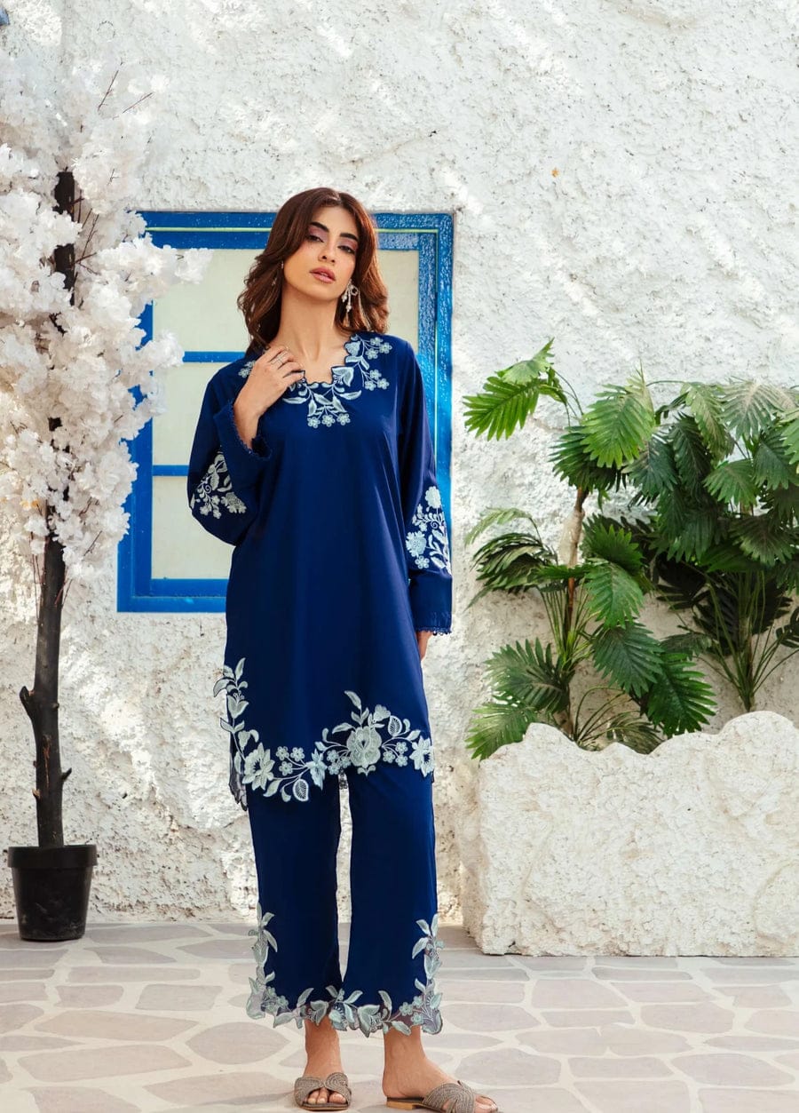 Nyla – Embroidered Elegance Two Piece Suit